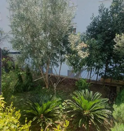 Diana Znjan アパート *