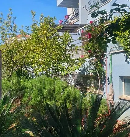 Diana Znjan アパート *