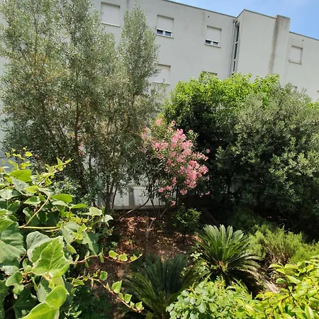 Diana Znjan スプリト