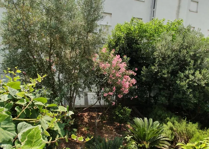 Diana Znjan 斯普利特