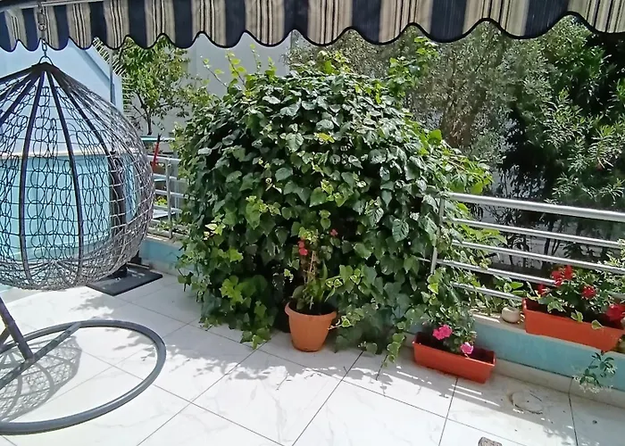 Diana Znjan 公寓 *